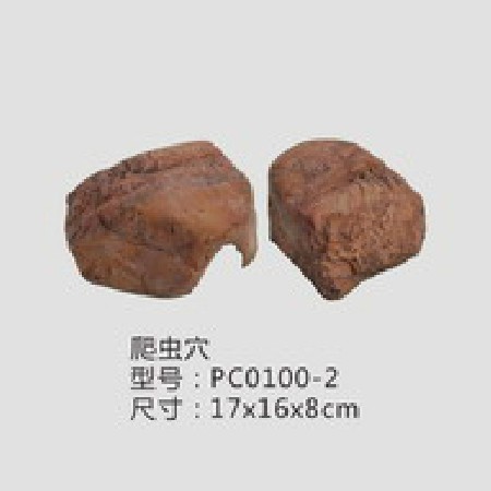 爬虫穴PC0100-2